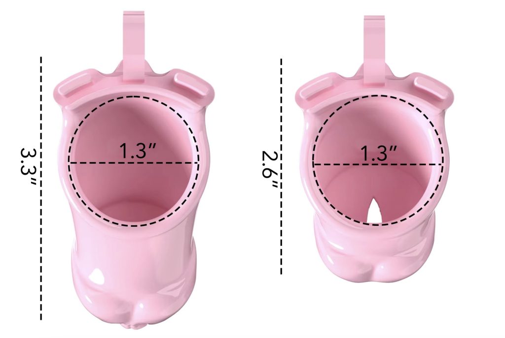 Chastity Device